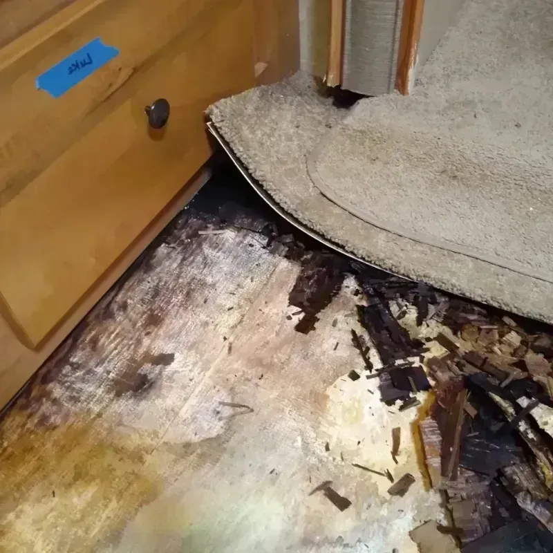 Wood Floor Water Damage in South Laurel, MD